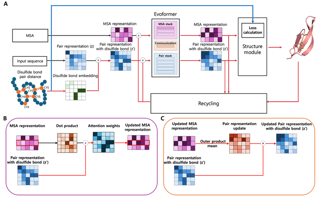 [M.S. Thesis] AlphaSS : Protein Structure Prediction with Disulfide Bond Information